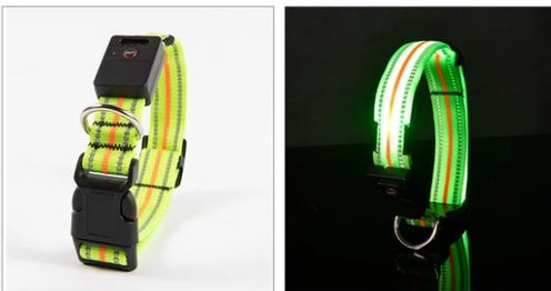 HKM-2580157 Waterproof Fiber Optic Magnetic Charging Pet Collar with Reflective Safety Modes
