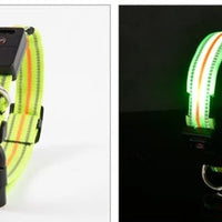 HKM-2580157 Waterproof Fiber Optic Magnetic Charging Pet Collar with Reflective Safety Modes