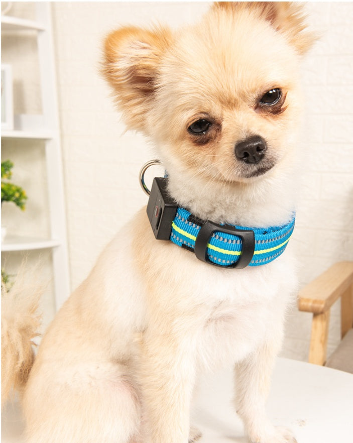 HKM-2580157 Waterproof Fiber Optic Magnetic Charging Pet Collar with Reflective Safety Modes
