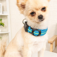 HKM-2580157 Waterproof Fiber Optic Magnetic Charging Pet Collar with Reflective Safety Modes