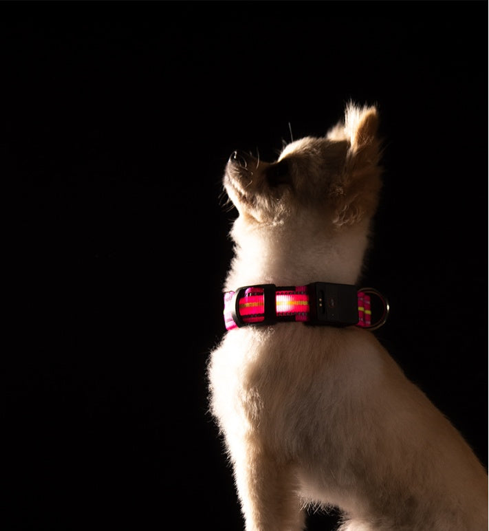 HKM-2580157 Waterproof Fiber Optic Magnetic Charging Pet Collar with Reflective Safety Modes