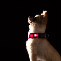 HKM-2580157 Waterproof Fiber Optic Magnetic Charging Pet Collar with Reflective Safety Modes