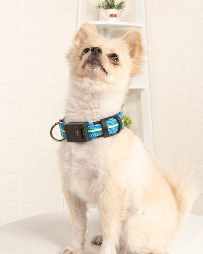 HKM-2580157 Waterproof Fiber Optic Magnetic Charging Pet Collar with Reflective Safety Modes