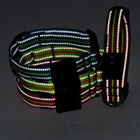 HKM-2580157 Waterproof Fiber Optic Magnetic Charging Pet Collar with Reflective Safety Modes