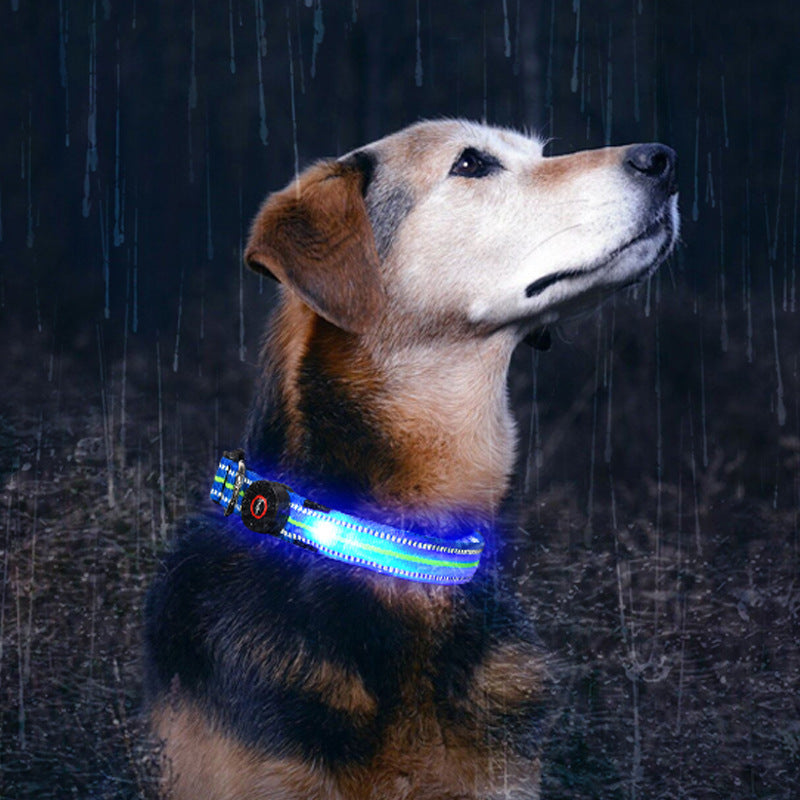 HKM-2580157 Waterproof Fiber Optic Magnetic Charging Pet Collar with Reflective Safety Modes