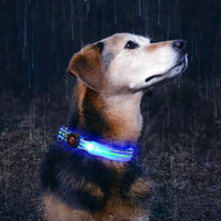 HKM-2580157 Waterproof Fiber Optic Magnetic Charging Pet Collar with Reflective Safety Modes