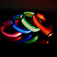 HKM-2580157 Waterproof Fiber Optic Magnetic Charging Pet Collar with Reflective Safety Modes