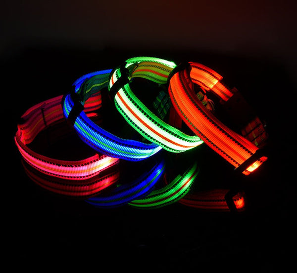 HKM-2580157 Waterproof Fiber Optic Magnetic Charging Pet Collar with Reflective Safety Modes