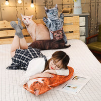HKM-258451 Animal Plush Doll Collection - Grey Cat, Red Cat, Black Cat, Pink Cat, Standing & Lying Tigers (50cm, 70cm)