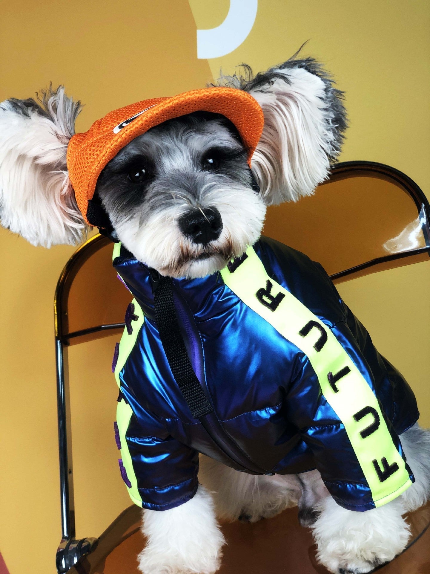 HKM-2586301 Embroidered Down Jacket for Small and Medium-Sized Dogs