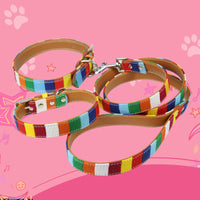 HKM-2587709 Colorful Dog Collar with Traction Leash ¨C Waterproof, Durable, Multi-Size Options