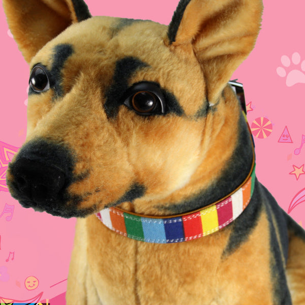 HKM-2587709 Colorful Dog Collar with Traction Leash ¨C Waterproof, Durable, Multi-Size Options