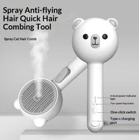 HKM-2589501 Bear Spray Comb Brush - Multifunctional Pet Hair Removal Tool with Steam Cleansing¹¦ÄÜ