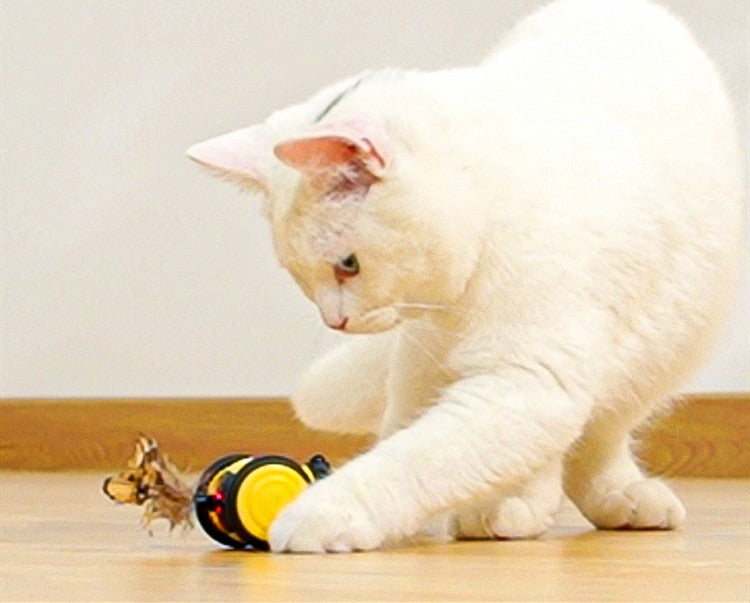 HKM-2594493 Interactive Electric Cat Toy - Yellow & Pink Little Bee Design, Durable Plastic