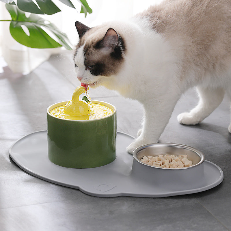 HKM-2595517 Rabbit and Radish Pet Water Dispensers with Optional Placemat and Bowl