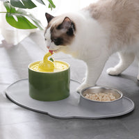 HKM-2595517 Rabbit and Radish Pet Water Dispensers with Optional Placemat and Bowl