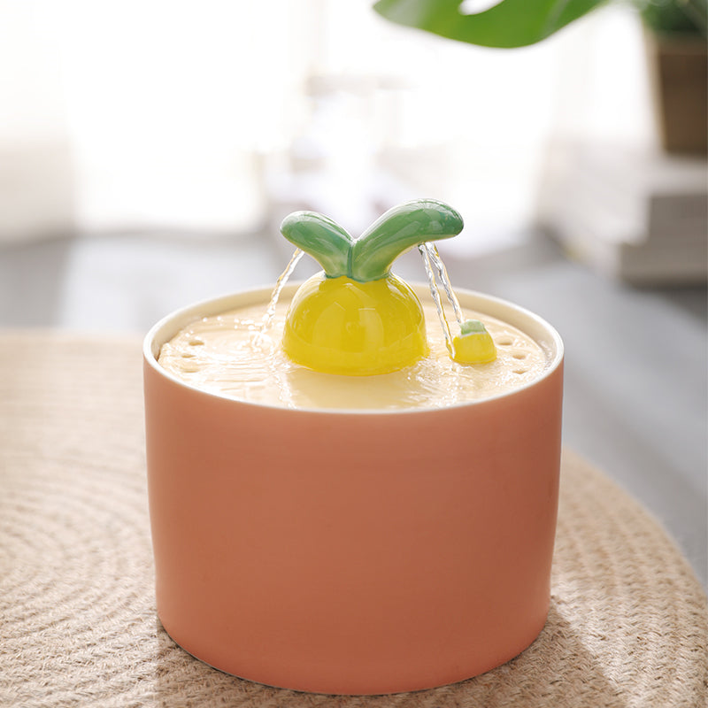 HKM-2595517 Rabbit and Radish Pet Water Dispensers with Optional Placemat and Bowl
