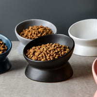 HKM-2595645 Ceramic Pet Bowl with High Foot and Oblique Mouth Design in Multiple Solid Colors