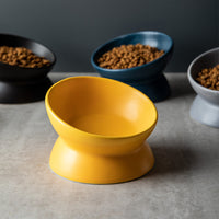 HKM-2595645 Ceramic Pet Bowl with High Foot and Oblique Mouth Design in Multiple Solid Colors