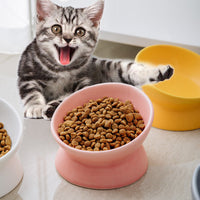 HKM-2595645 Ceramic Pet Bowl with High Foot and Oblique Mouth Design in Multiple Solid Colors