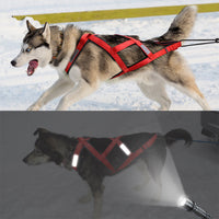 HKM-2598717 Crimson & Black Large Dog Vest with Towing Rope for Sledding, Sizes M to 3XL