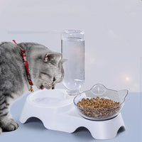 HKM-2599613 Elevated Non-Toxic Cat Feeding Bowl with Tilted Design and Non-Slip Base