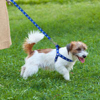 HKM-2604477 Adjustable Nylon Dog Harness and Leash Set with Paw Print Design for Small to Medium Dogs