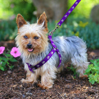 HKM-2604477 Adjustable Nylon Dog Harness and Leash Set with Paw Print Design for Small to Medium Dogs