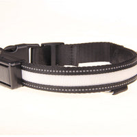 HKM-2607165 Solar Rechargeable LED Pet Dog Collar with Reflective Nylon and Multiple Colors Available