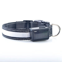 HKM-2607165 Solar Rechargeable LED Pet Dog Collar with Reflective Nylon and Multiple Colors Available
