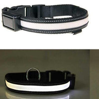 HKM-2607165 Solar Rechargeable LED Pet Dog Collar with Reflective Nylon and Multiple Colors Available