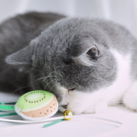 HKM-2617533 Boredom-Busting Funny Cat Stick with Sounding Bells and Colorful Fruit Shapes