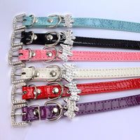 HKM-2618685 Patterned Puppy Charm Pet Collar - Blue, Black, White, Red, Pink - Sizes S, M, L