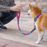 HKM-2620477 High Elastic Nylon Pet Traction Rope - Adjustable Length, Multiple Colors Available