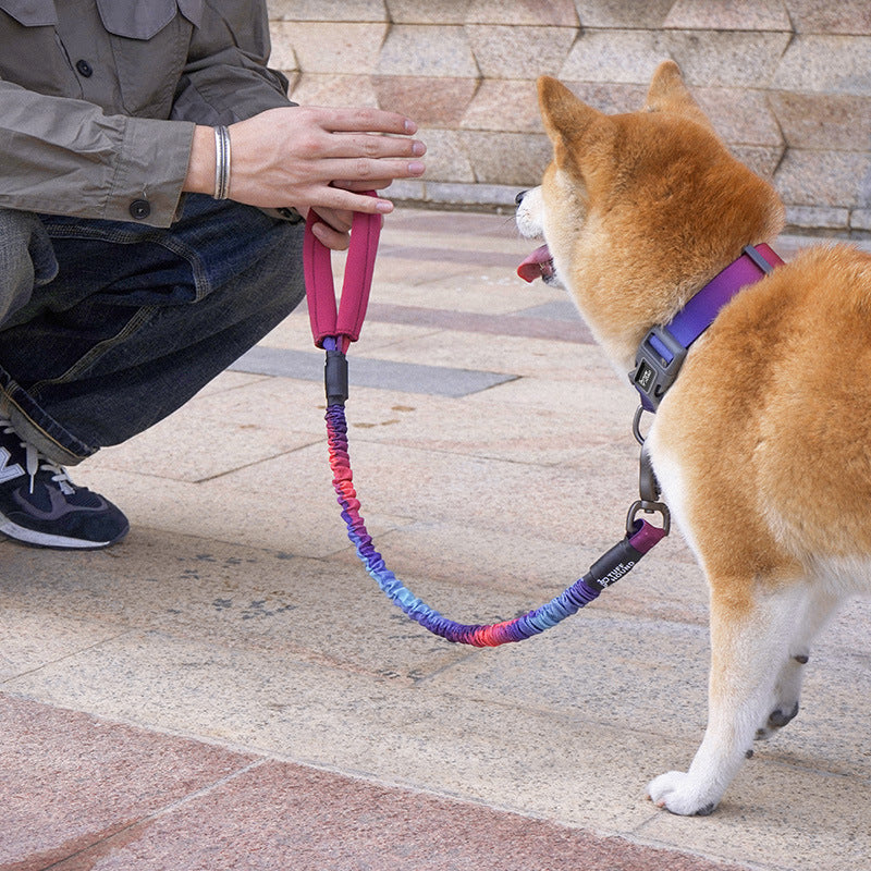 HKM-2620477 High Elastic Nylon Pet Traction Rope - Adjustable Length, Multiple Colors Available