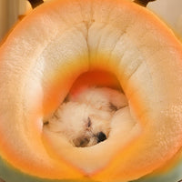 HKM-2620733 Cozy Warm Velvet Padded Dog Nest in Various Colors and Sizes