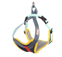 HKM-2625725 Adjustable Dog Chest Strap Leash for Comfortable and Breathable Fit