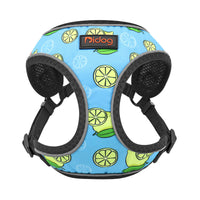 HKM-2631997 Reflective Pet Harness for Small and Medium Dogs - Comfortable 360¡ã Design, Adjustable Fit, Durable Nylon