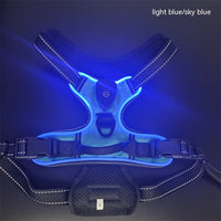 HKM-2637245 Adjustable LED Pet Vest for Night Walking - Bright Colors for Dogs and Cats, Breathable Cotton Material