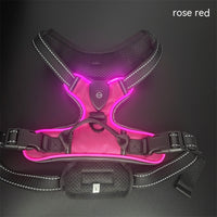HKM-2637245 Adjustable LED Pet Vest for Night Walking - Bright Colors for Dogs and Cats, Breathable Cotton Material
