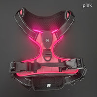 HKM-2637245 Adjustable LED Pet Vest for Night Walking - Bright Colors for Dogs and Cats, Breathable Cotton Material