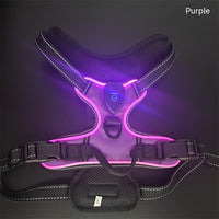 HKM-2637245 Adjustable LED Pet Vest for Night Walking - Bright Colors for Dogs and Cats, Breathable Cotton Material