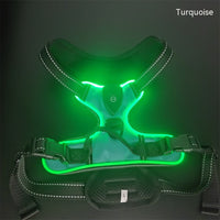 HKM-2637245 Adjustable LED Pet Vest for Night Walking - Bright Colors for Dogs and Cats, Breathable Cotton Material