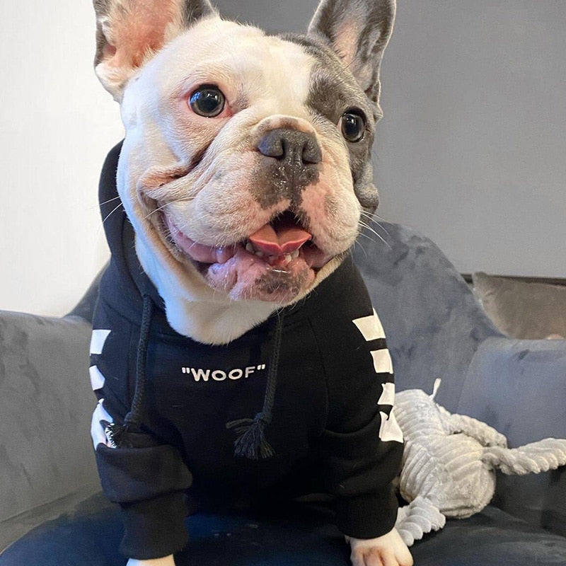 HKM-2637629 Winter Hooded Dog Jacket for Casual Wear - Sizing Advice Included