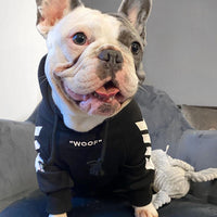 HKM-2637629 Winter Hooded Dog Jacket for Casual Wear - Sizing Advice Included