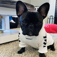 HKM-2637629 Winter Hooded Dog Jacket for Casual Wear - Sizing Advice Included