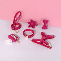 HKM-2639421 Classic Soft Velvet Pet Collar and Traction Rope Set with Bow Tie and Toilet Bag