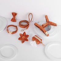 HKM-2639421 Classic Soft Velvet Pet Collar and Traction Rope Set with Bow Tie and Toilet Bag