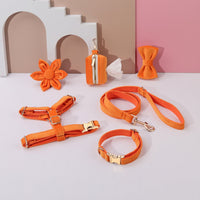 HKM-2639421 Classic Soft Velvet Pet Collar and Traction Rope Set with Bow Tie and Toilet Bag