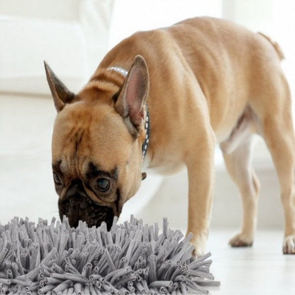 HKM-2639805 Dog Sniffing Pad for Mental Stimulation - 30x45cm Gray Polyester Design
